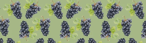 Many ripe grapes on green background. Pattern for design