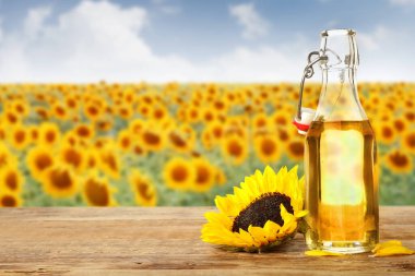 Bottle of oil on table in sunflower field