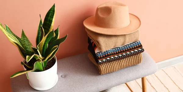 Stack of folded autumn sweaters, felt hat and houseplant on bench near color wall in room