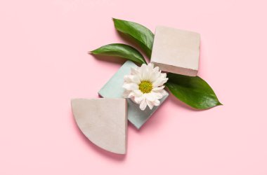 Composition with plaster stands, plant leaves and flower on pink background