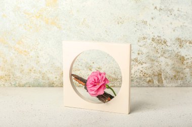 Composition with plaster podium, eustoma flower and tree bark on light table