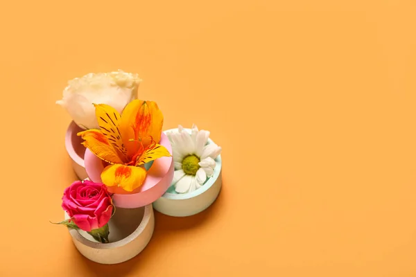 Composition Plaster Podiums Flowers Color Background — Stock Photo, Image