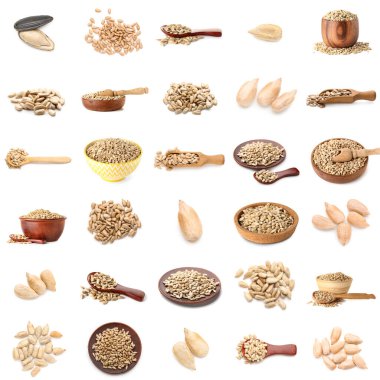 Set of sunflower seeds isolated on white