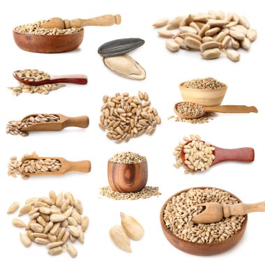 Set of sunflower seeds isolated on white