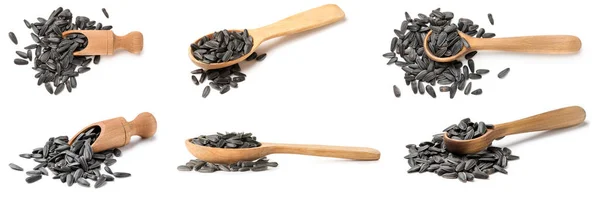 Set Spoons Scoops Sunflower Seeds Isolated White — 图库照片