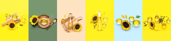 Set Sunflower Oil Seeds Colorful Background — Stockfoto