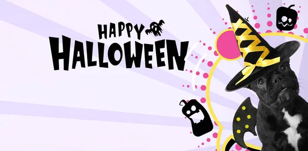 Advertising Banner Halloween Party Funny Dog —  Fotos de Stock