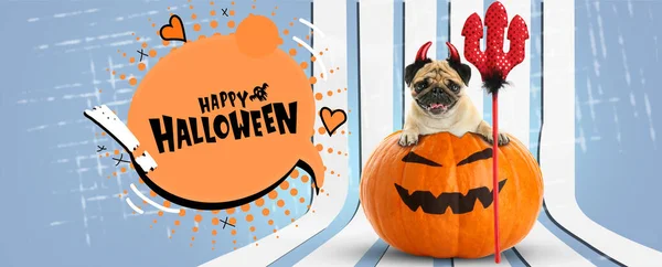 Advertising Banner Halloween Party Funny Pug Dog Pumpkin — Stock Fotó