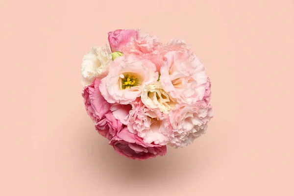 Beautiful Flowers Pink Background Top View — Stock Photo, Image