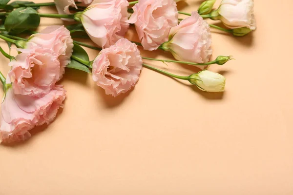 베이지 배경의 아름다운 분홍빛 — 스톡 사진