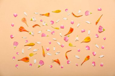 Floral petals on beige background