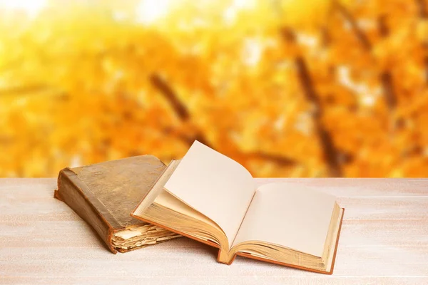 Old Books Wooden Table Outdoors Autumn Day — Stock Fotó