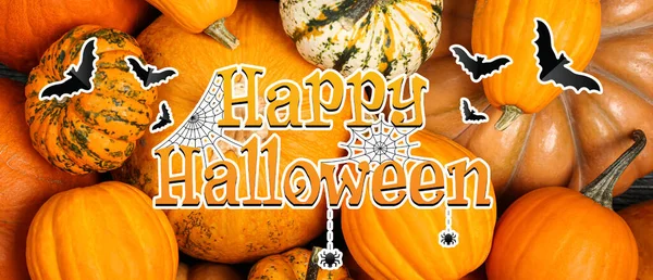 Greeting Card Halloween Celebration Pumpkins —  Fotos de Stock