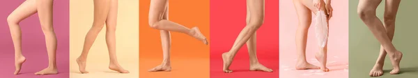 Collage Legs Beautiful Barefoot Women Colorful Background — стоковое фото