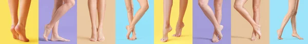 Collage Legs Beautiful Barefoot Women Colorful Background — Stockfoto