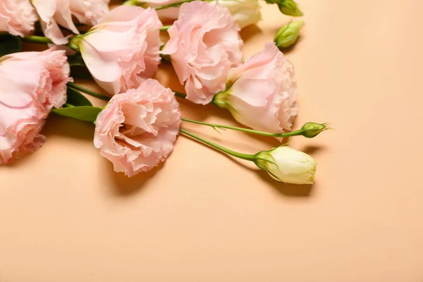 Beautiful pink flowers on beige background