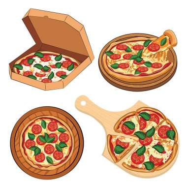Set of delicious pizza Margarita on white background