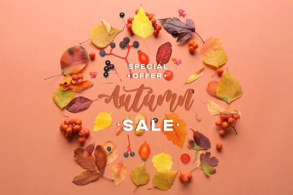 Banner Autumn Sale Dry Leaves Pink Background — Stock Photo, Image