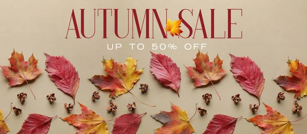 Banner Autumn Sale Dry Leaves Beige Background — Stock Photo, Image