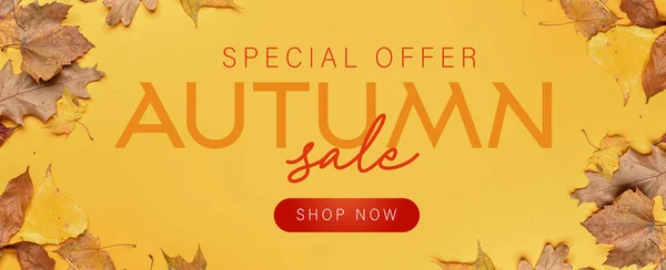 Banner Autumn Sale Dry Leaves Yellow Background — Stock Photo, Image
