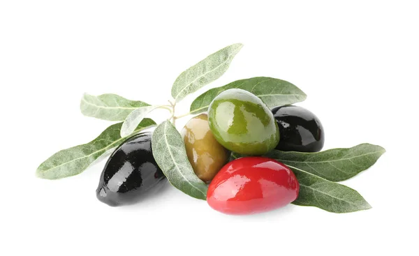 Mucchio Diverse Olive Foglie Sfondo Bianco — Foto Stock