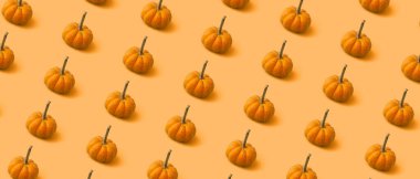 Turuncu arka planda bir sürü olgun balkabağı. Tasarım için desen