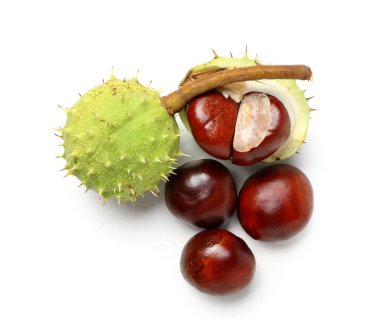 Beyaz arka planda taze kestaneler