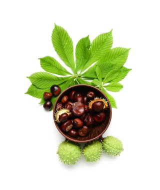 Beyaz arka planda kestane ve yapraklar