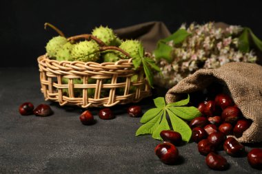 Koyu arkaplanda taze kestane rengi çanta.