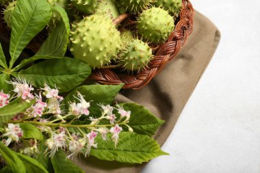 Yeşil kestane sepeti, arka planda yapraklar ve çiçek, yakın plan.