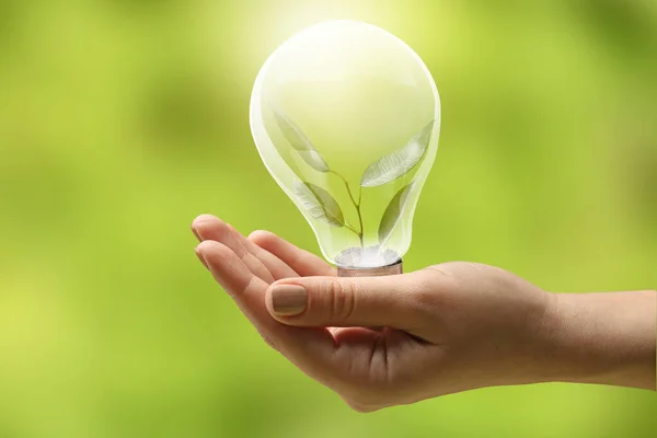 Female Hand Holding Light Bulb Plant Green Background Ecology Concept — Stock Photo, Image