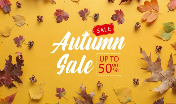 Poster Autumn Sale Leaves Yellow Background — Stock Photo, Image