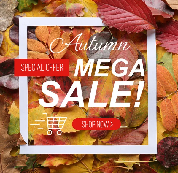 Poster Autumn Sale Many Leaves — Stock Photo, Image