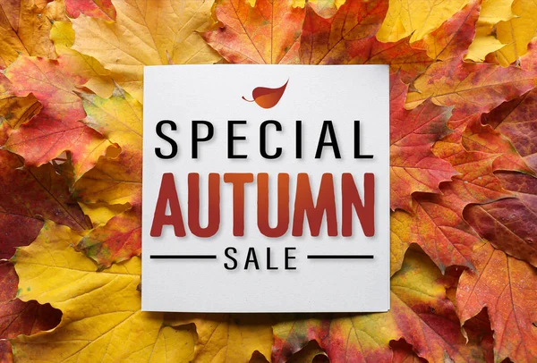 Poster Autumn Sale Maple Leaves — Stock Photo, Image