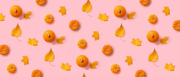 Viele Reife Kürbisse Und Herbstblätter Auf Rosa Hintergrund Muster Für — Stockfoto