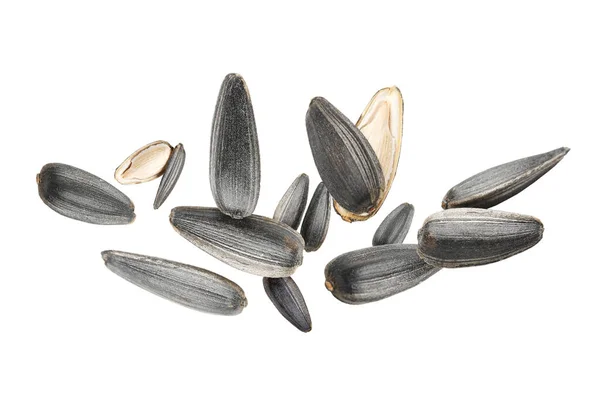 Flying Sunflower Seeds Isolated White — Stock Photo, Image