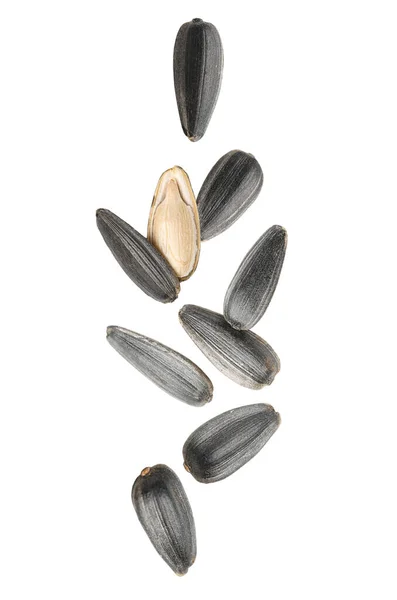 Set Flying Sunflower Seeds Isolated White — Stock Photo, Image