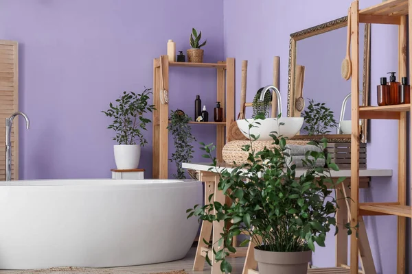 Moderne Badewanne Regal Mit Zubehör Und Zimmerpflanzen Wandnähe — Stockfoto