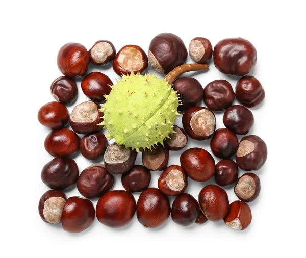 Fresh Chestnuts White Background — Stock Photo, Image