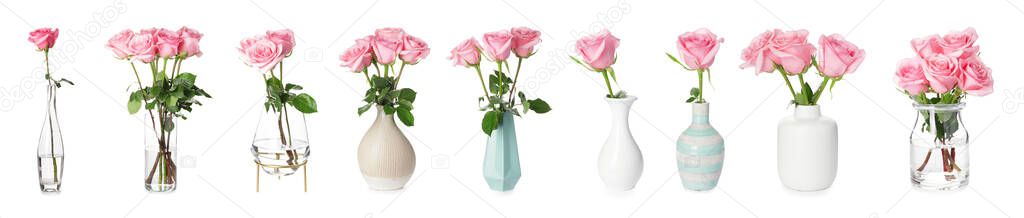 Collage of pink roses on white background