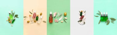 Renkli arka planda zeytinyağı seti, üst görünüm
