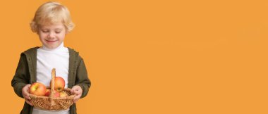 Turuncu arka planda olgun elma sepeti tutan sevimli çocuk.