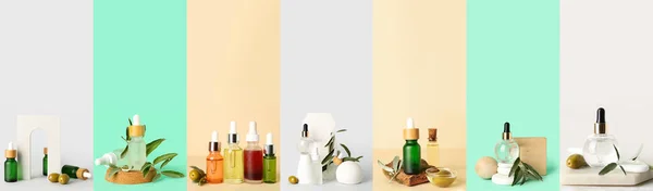 Cosmetics Olive Oil Extract Colorful Background — Stock Photo, Image