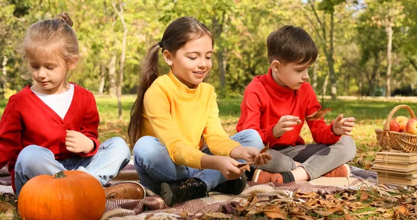 Lindos Niños Pequeños Sentados Cuadros Parque Otoño — Foto de Stock