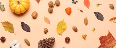 Doğal orman dekoru ve bej arkaplanda yapraklarla sonbahar kompozisyonu
