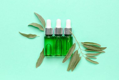 Renkli arka planda gerekli zeytinyağı ve bitki yaprakları şişeleri