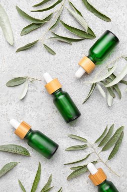 Hafif arkaplanda gerekli zeytinyağı ve bitki yapraklarından oluşan bir kompozisyon