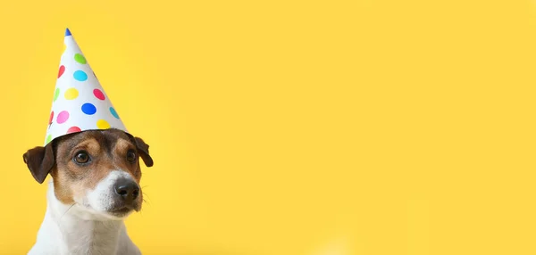 Roztomilý Pes Narozeninové Čepici Žlutém Pozadí Prostorem Pro Text — Stock fotografie