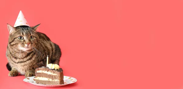 Cute cat in party hat and with Birthday cake on red background with space for text