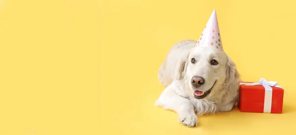 Parti Şapkalı Şirin Labrador Köpeği Sarı Arka Planda Mesaj Için — Stok fotoğraf